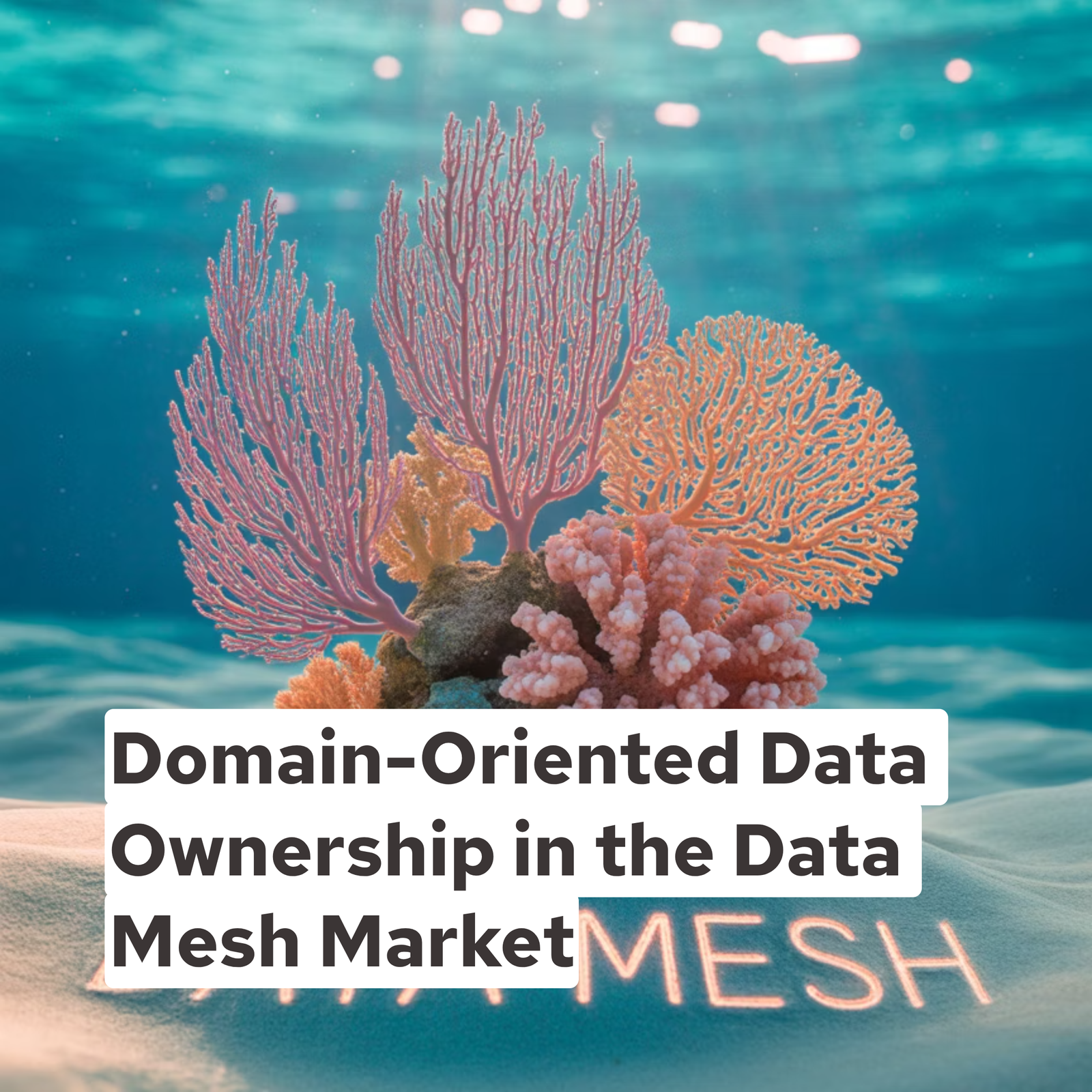 Domain-Oriented Data Ownership in the Data Mesh Market